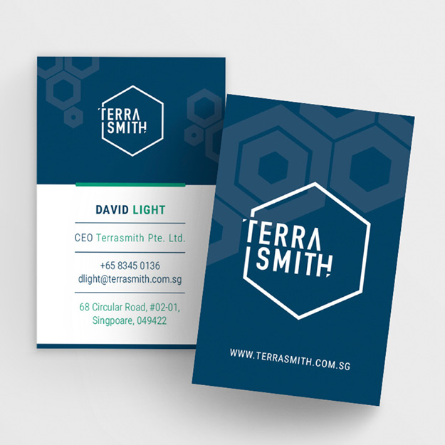 Logo and Branding For Terra Smith